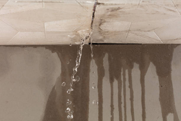 Professional Flood Damage Cleanup technician working in Pantego, NC